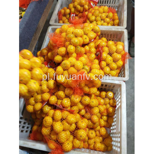 Mandarynkowe pomarańcze dla dzieci od Nanfeng